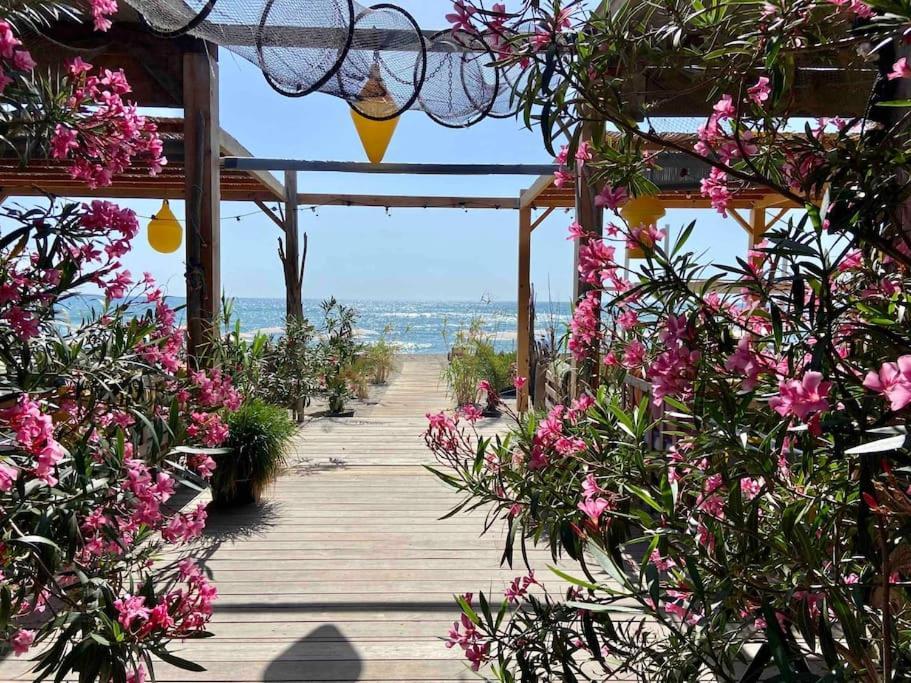 Les Voiles Blanches T2 Luxe A 100M De La Plage Leucate Exteriör bild