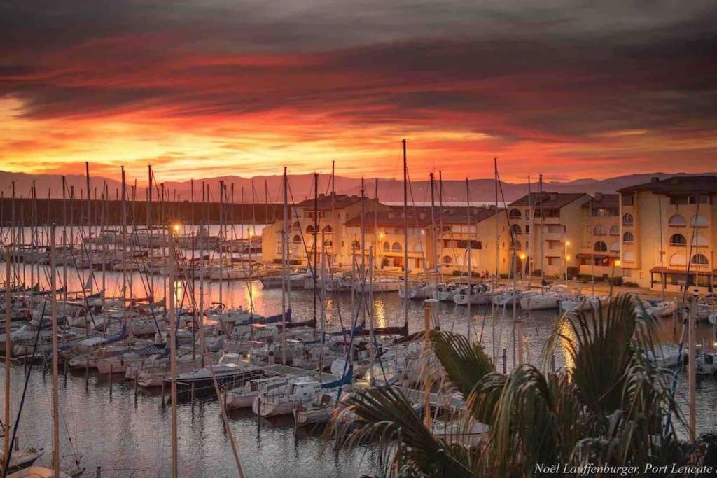 Les Voiles Blanches T2 Luxe A 100M De La Plage Leucate Exteriör bild